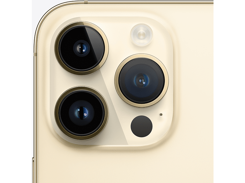 APPLE iPhone 14 Pro, Oro, 256 GB, 5G, 6.1", iOS + Adaptador de corriente, USB-C de 20 W