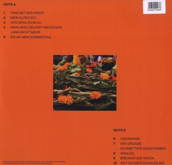Mia Aegerter - Bye Bye Mein Altes Ich (LP)  - (Vinyl)