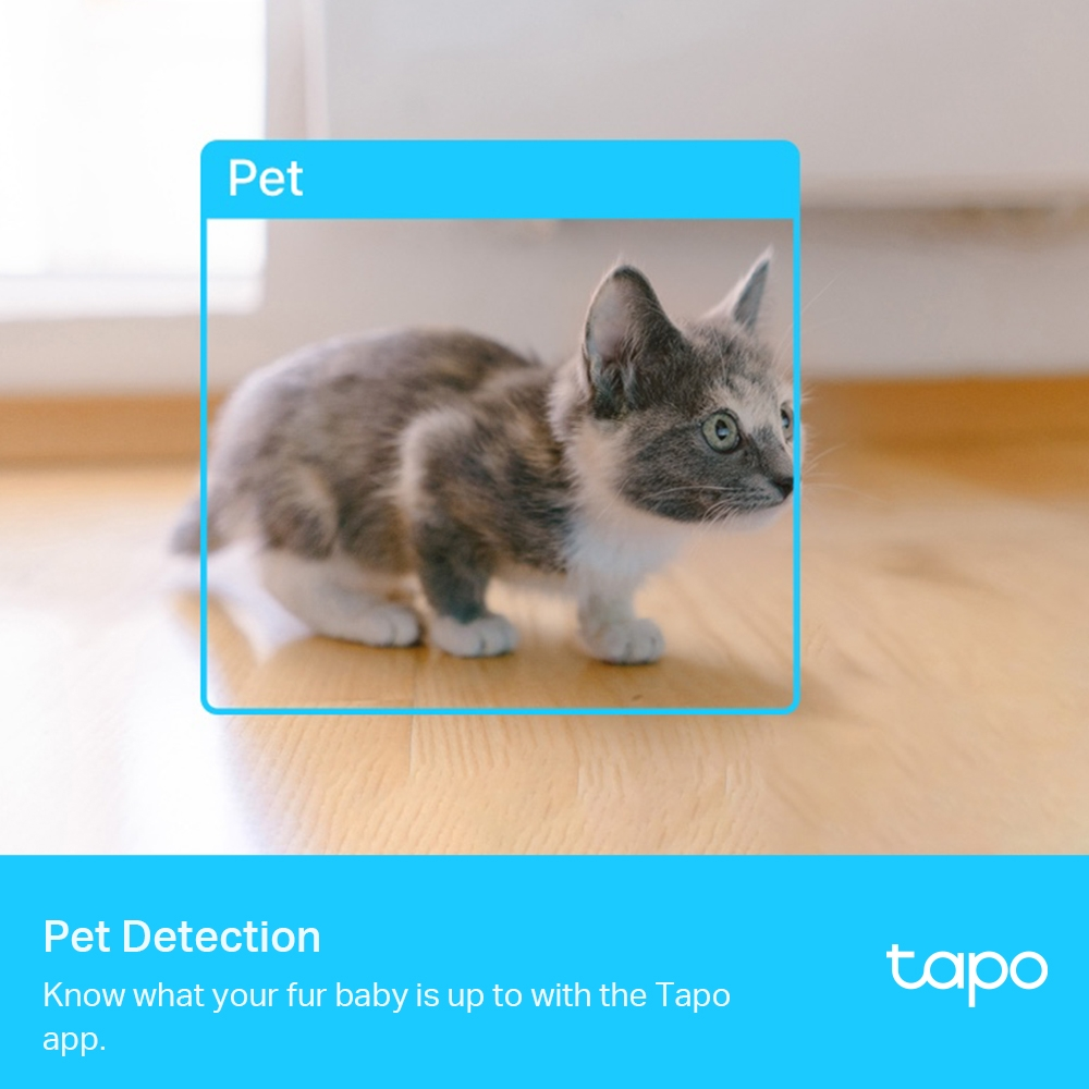 Eine grau-weiße Katze in einem blauen Quadrat auf einem Holzboden. Text Pet Detection und Tapo-Logo.