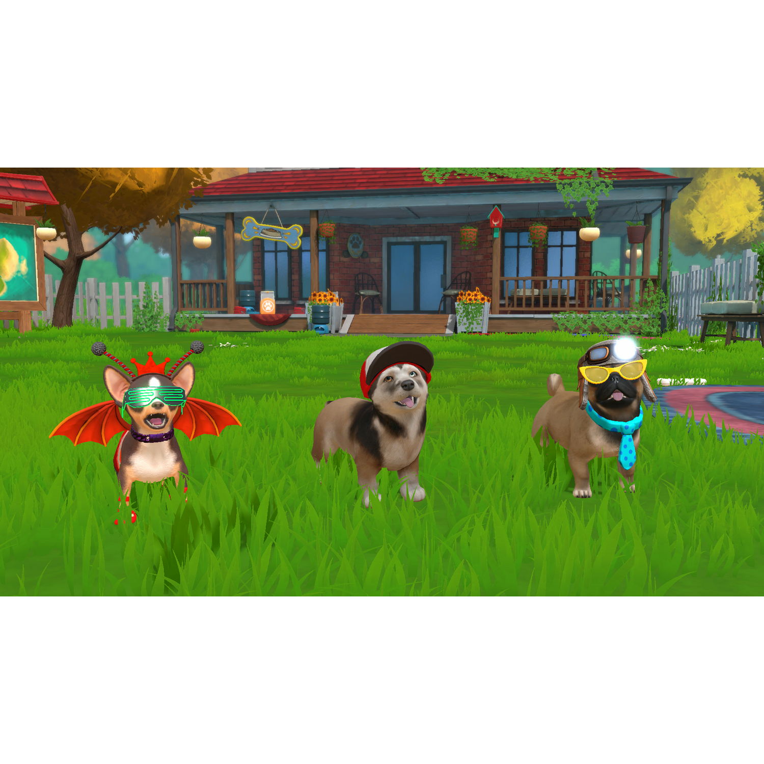 Little Friends: Puppy Island | Nintendo Switch