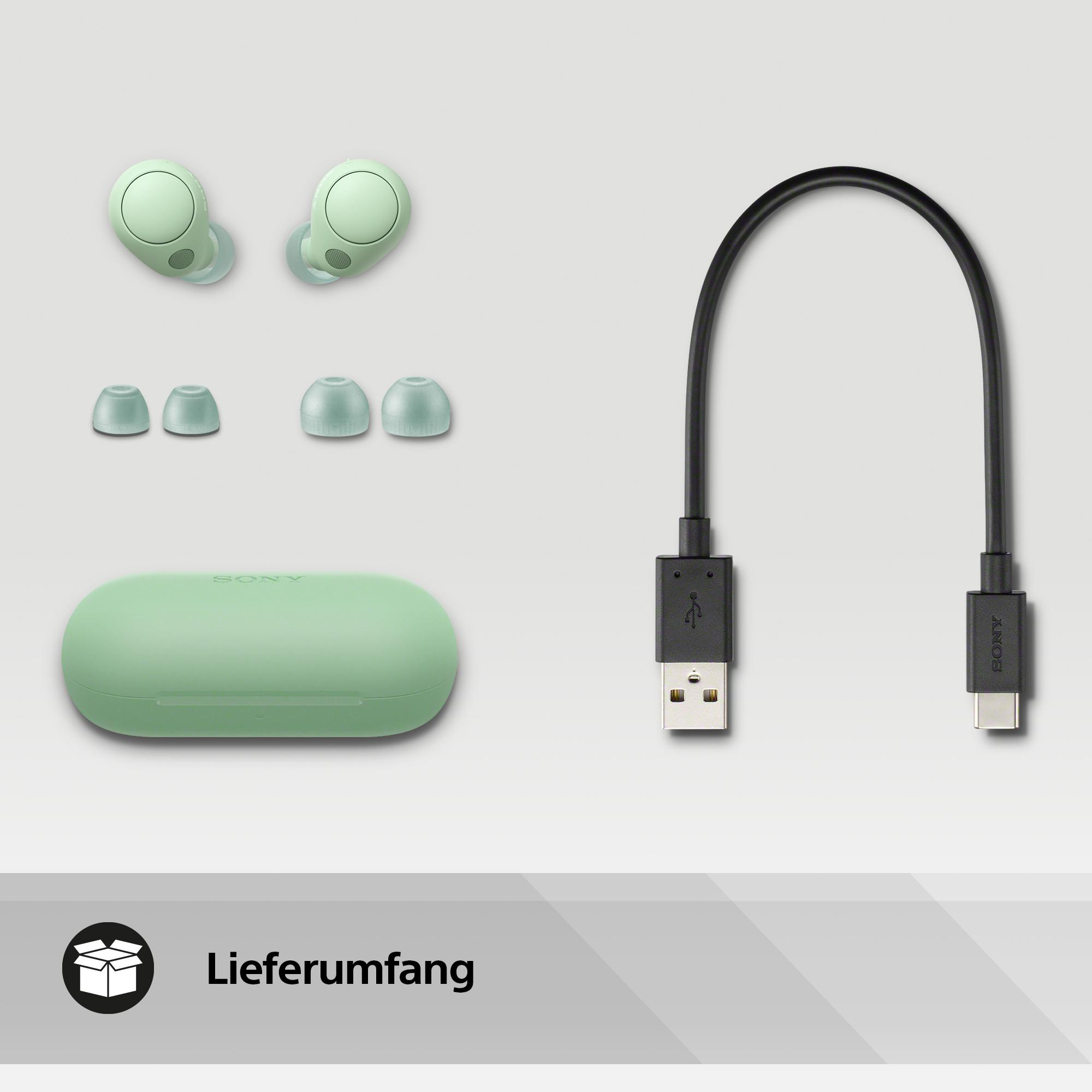 Minzgrüne Ohrhörer, Ladecase, zusätzliche Spitzen und ein USB-C-Kabel. Alles ordentlich.