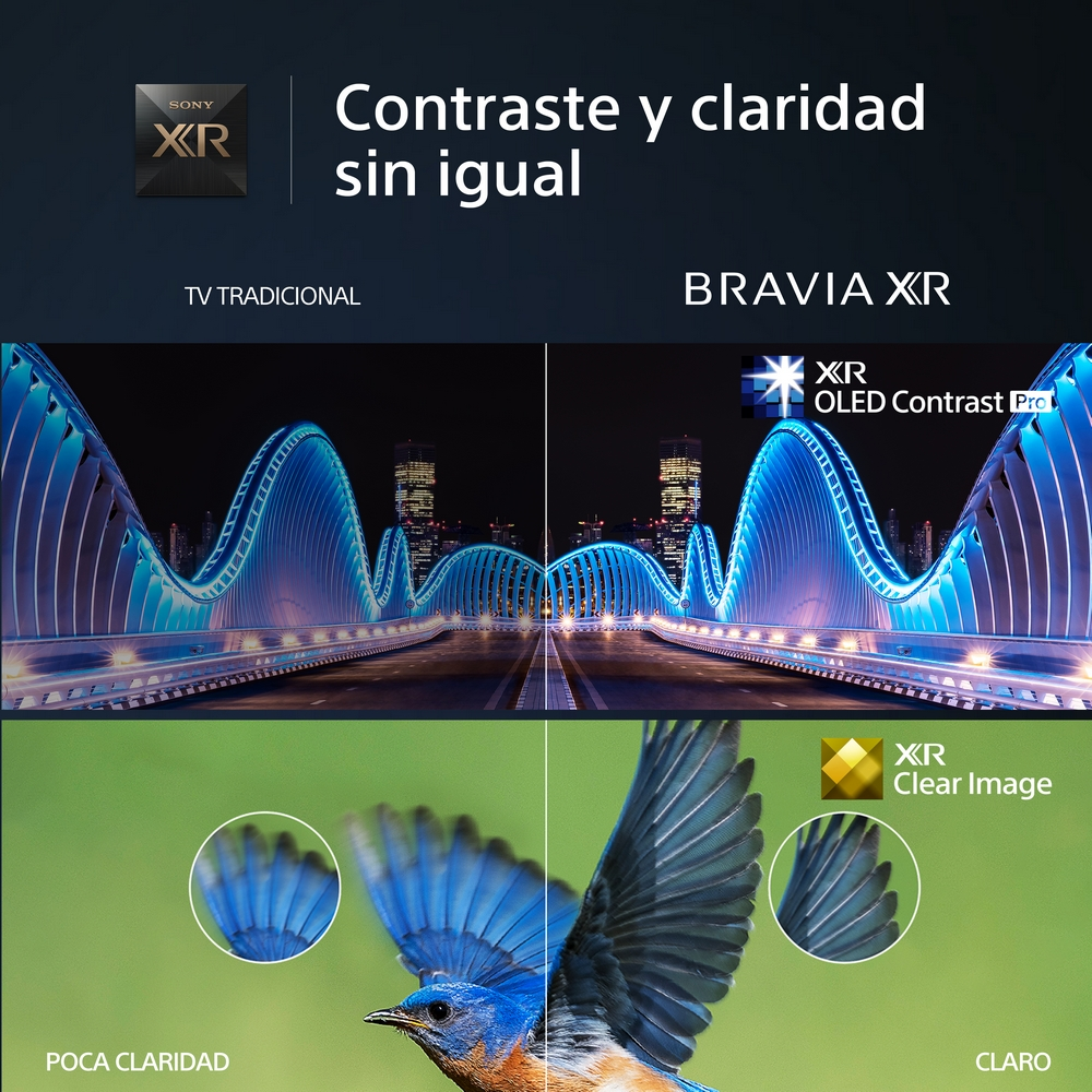 Comparación de pantalla dividida de dos imágenes de TV. Muestra una escena de puente y un pájaro, con detalles de claridad.