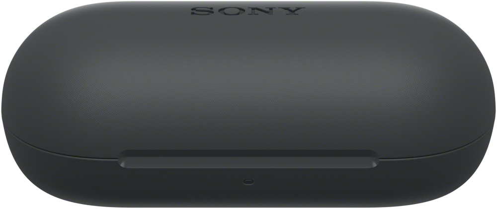 Un étui ovale gris foncé avec le mot SONY en haut.