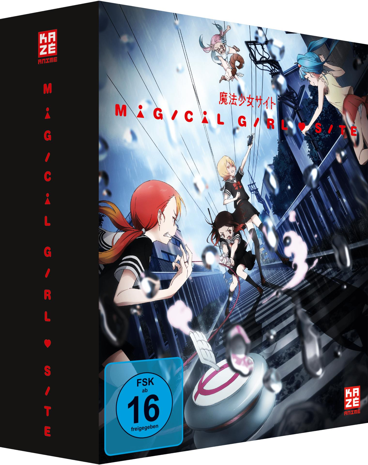 Anime-DVD-Box. Sie zeigt eine farbenfrohe Illustration mehrerer Anime-Charaktere.