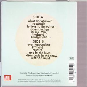 Scott Mcmicken And The Ever-Expanding - Shabang  - (CD)
