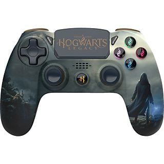 Hogwarts Legacy Wireless Landscape für PS4