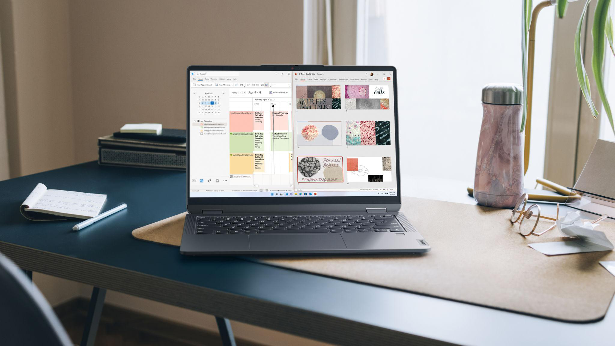 LENOVO IdeaPad Flex 5 - 14 Zoll - AMD Ryzen™ 5 7530U - 8 GB - 512 GB - AMD Radeon™ Onboard Graphics - Windows 11 Home