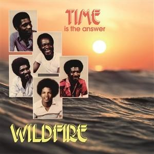 - the Answer is Wildfire (Vinyl) - Time