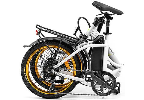 PLATUM Elektrische fiets Silver Piuma-S (4026)