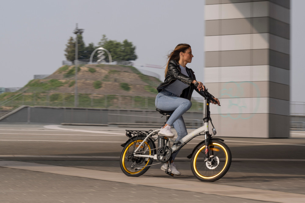 Vélo électrique Argento Performance Pro 250W, Batterie 468Wh, Freins Hydrauliques, Cadre Alu 27,5 Pouces