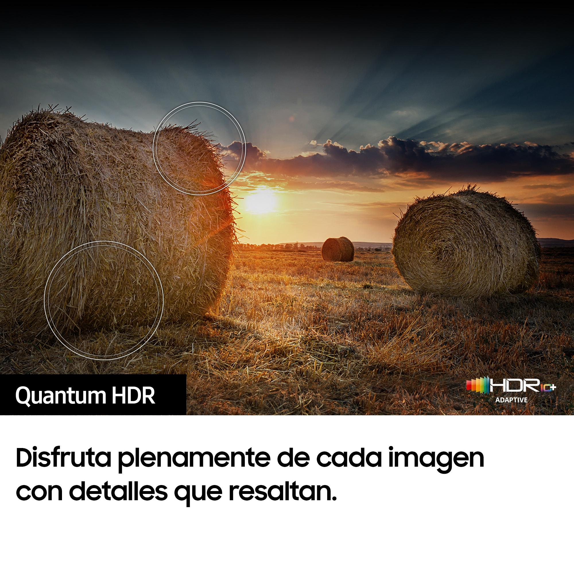 Pacas de heno en un campo al atardecer, con texto Quantum HDR y HDR+ adaptive.