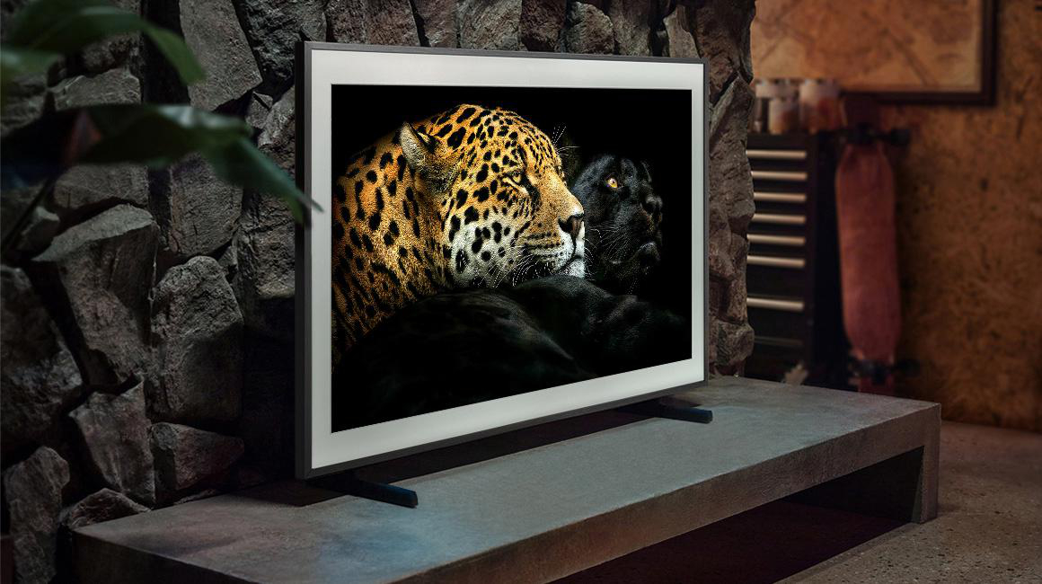 Fernseher zeigt einen Jaguar und einen schwarzen Panther auf Stein.