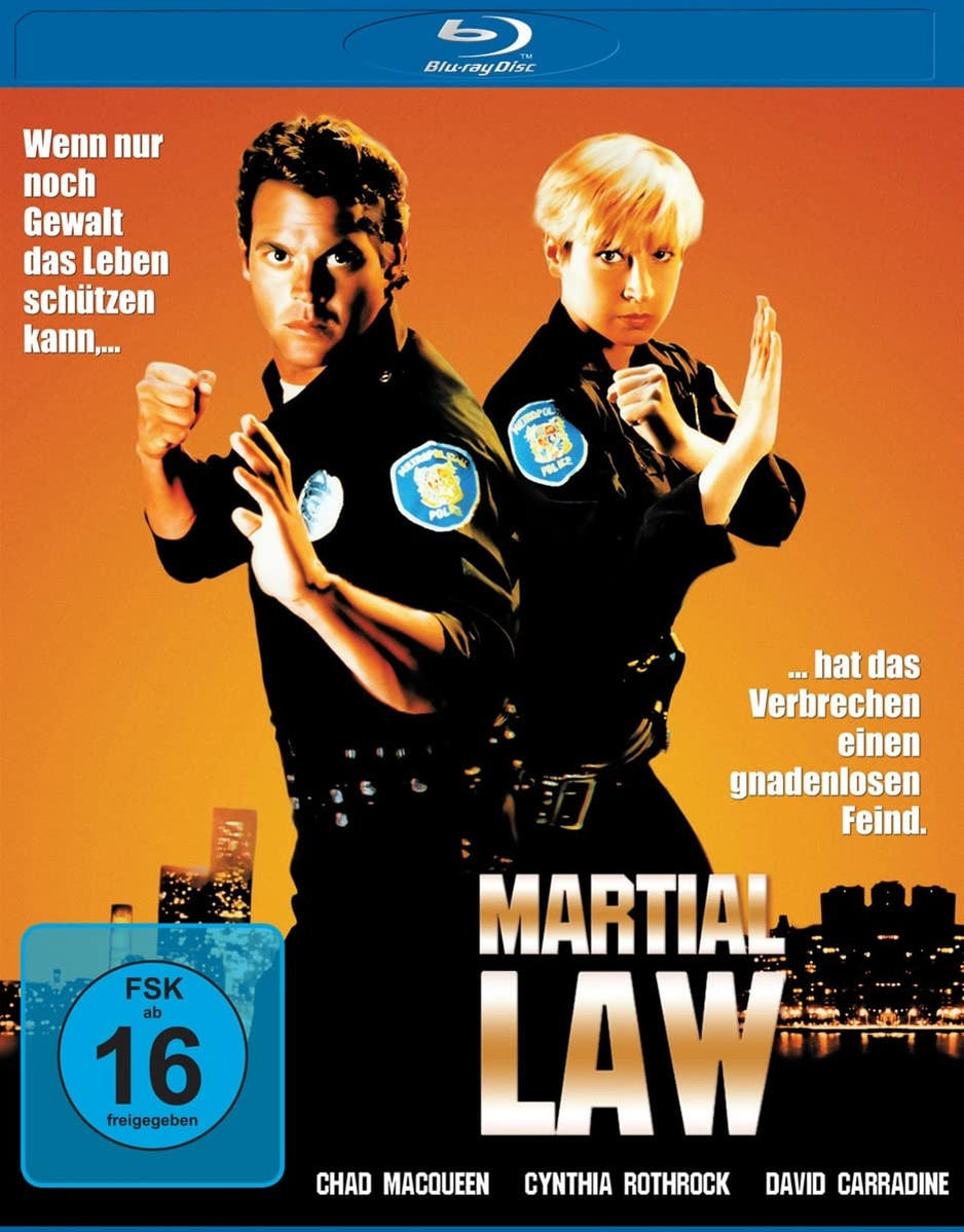 DVD-Cover von Martial Law mit zwei Polizisten in Actionposen.
