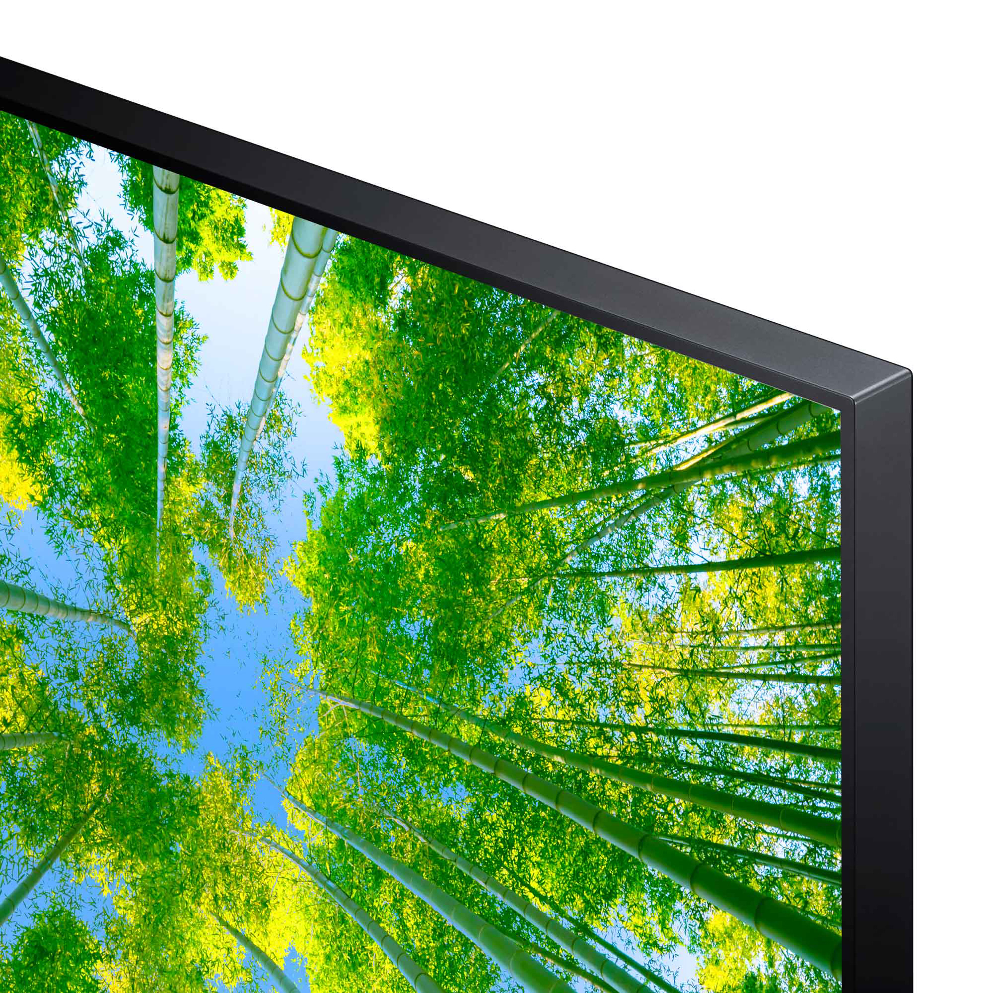 Primer plano de un televisor que muestra una escena de bosque de bambú bajo un cielo azul.
