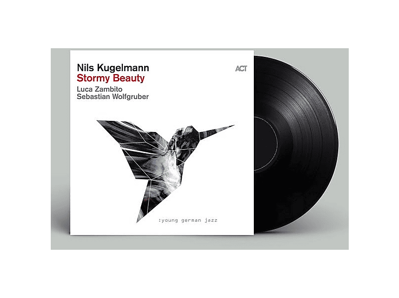 Nils Kugelmann | Stormy Beauty (Black Vinyl) - (LP + Download) | MediaMarkt