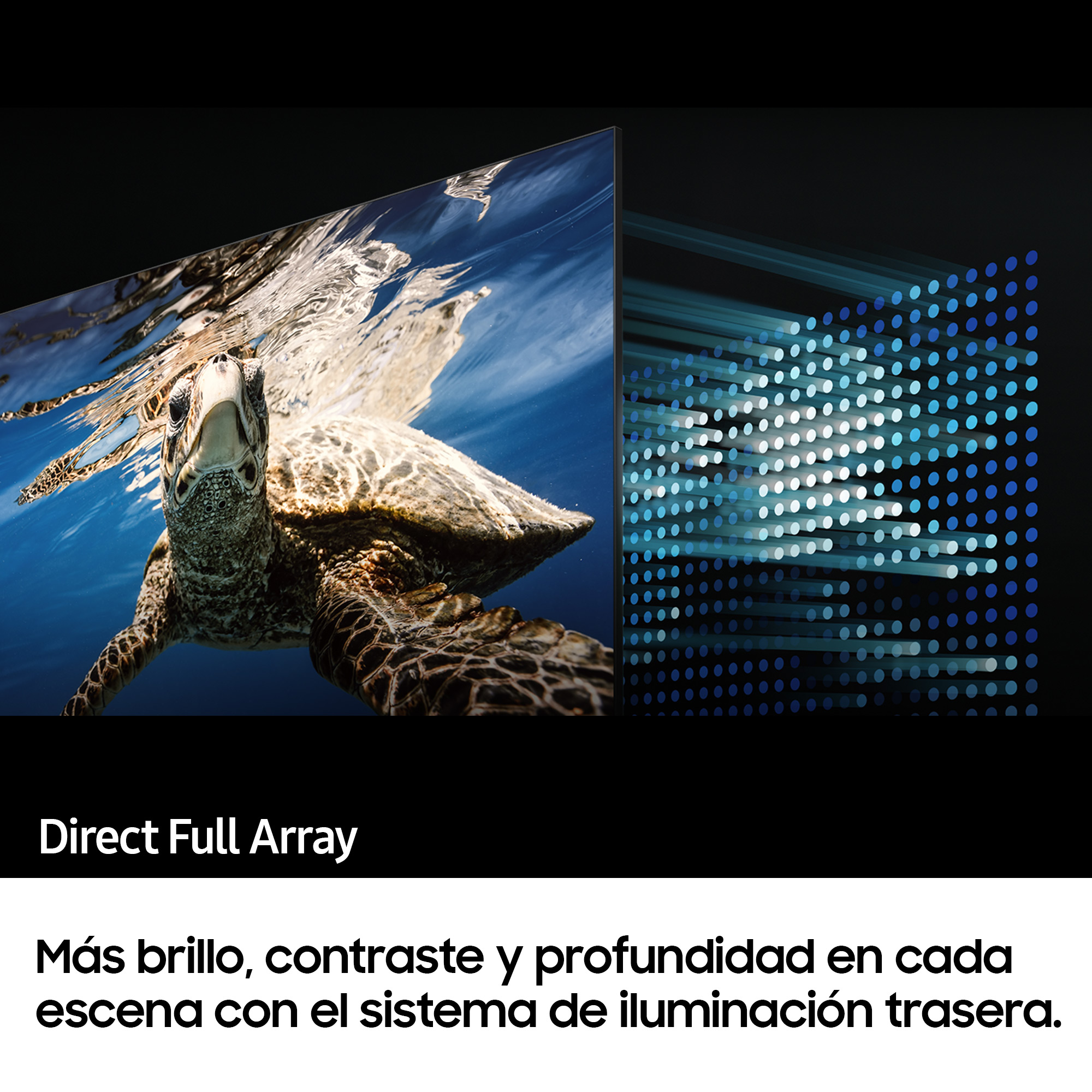 Tortuga marina nadando bajo el agua, con gráfico Direct Full Array.
