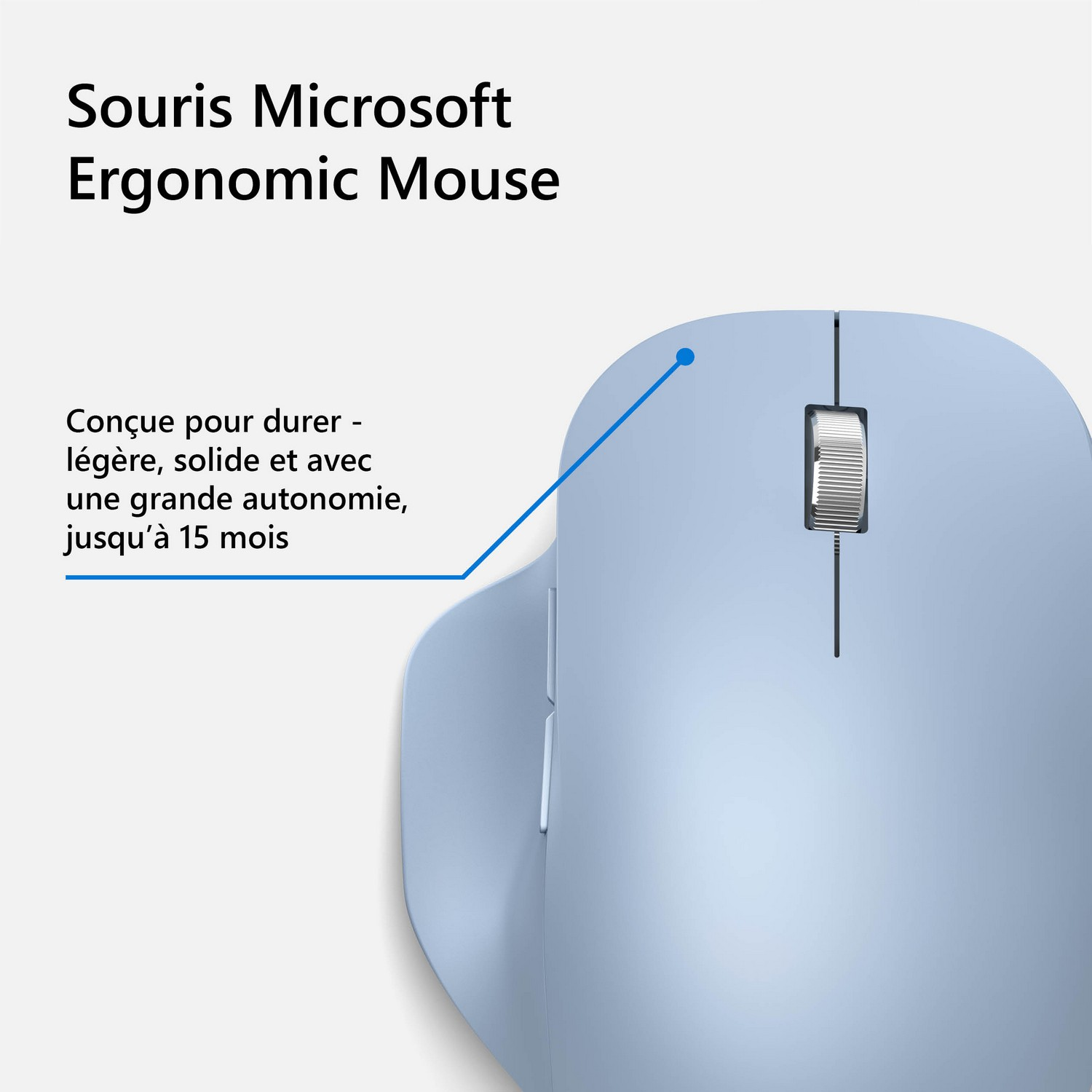 MICROSOFT Draadloze muis Ergonomic Blauw (222-00052)