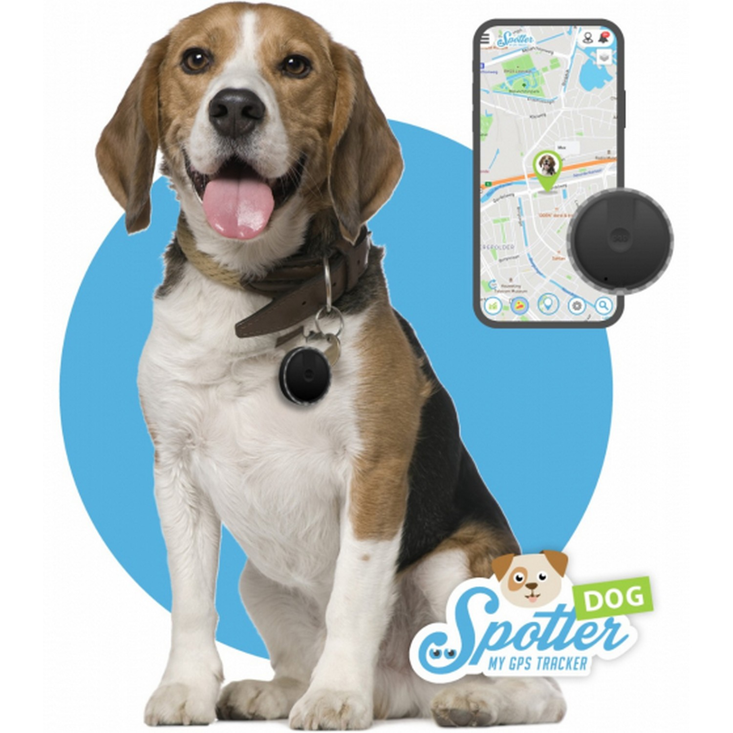 Beagle dog wearing a GPS tracker, with a phone displaying a map and tracker info. Blue background.
