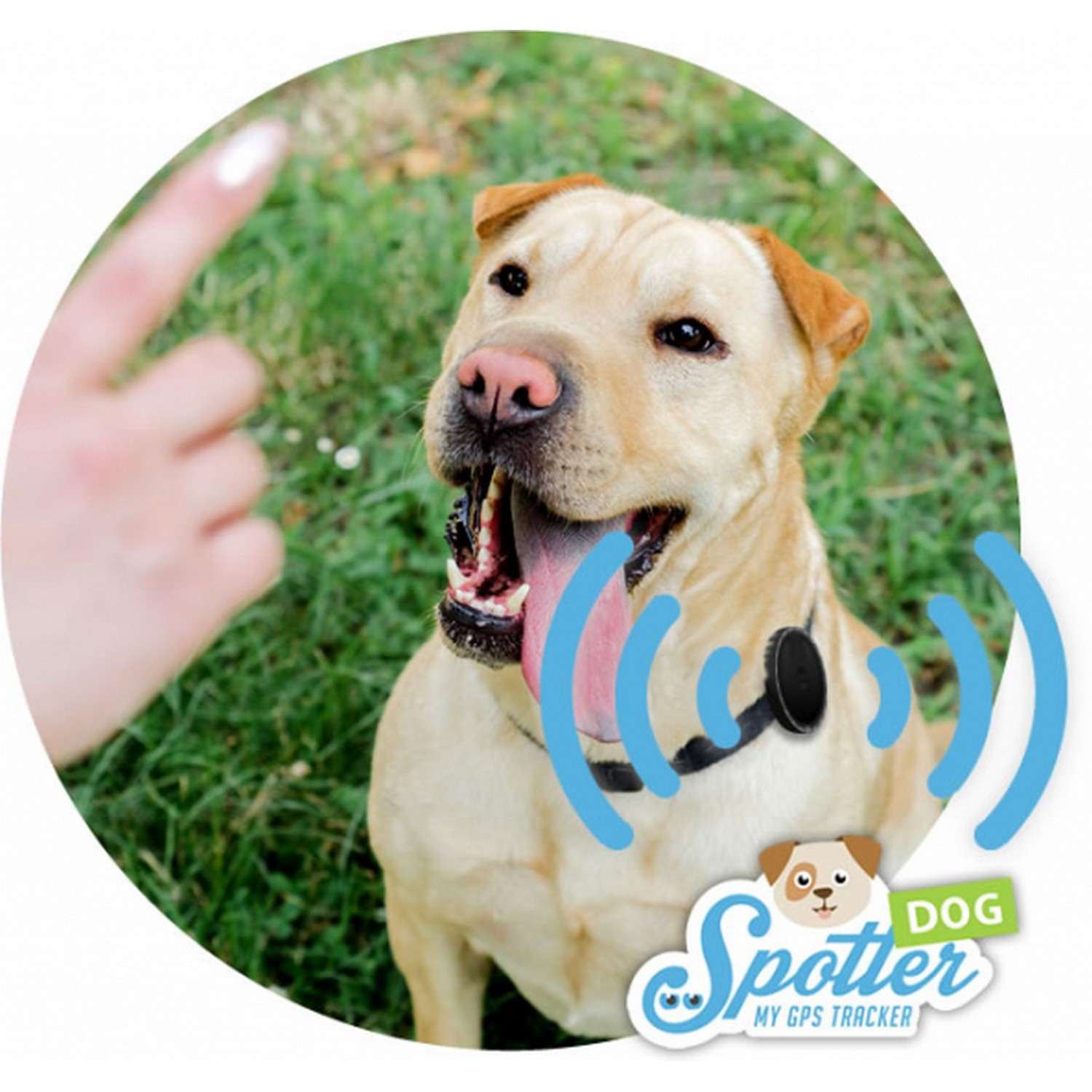 A dog with a GPS tracker is looking at a hand. The dog is in a circle with a blue signal icon.