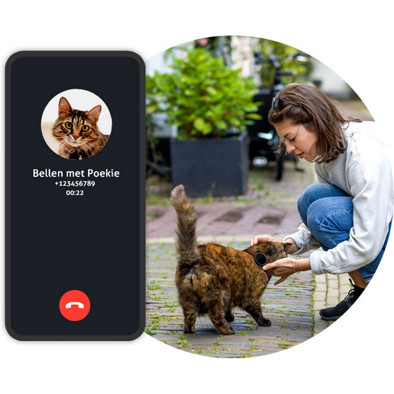 A phone showing a cat video call, a woman petting a cat outside.