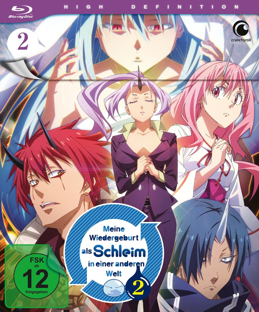 Anime Blu-ray Cover. Charaktere mit bunten Haaren und Outfits. Japanischer Text. Titel: Meine Wiedergeburt.