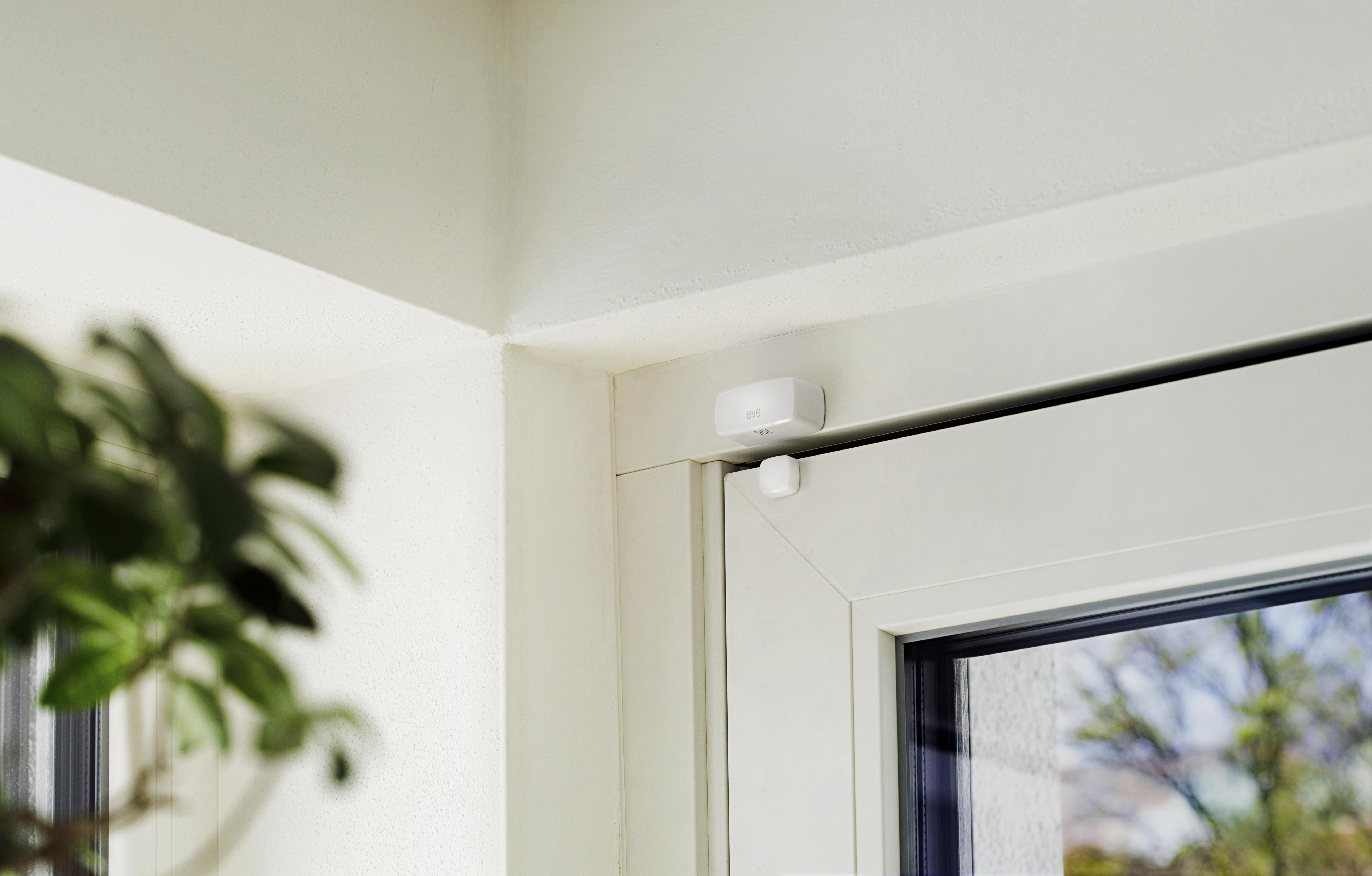 Weißer Fensterrahmen mit Sicherheitssensoren. Grüne Pflanze im unscharfen Hintergrund.