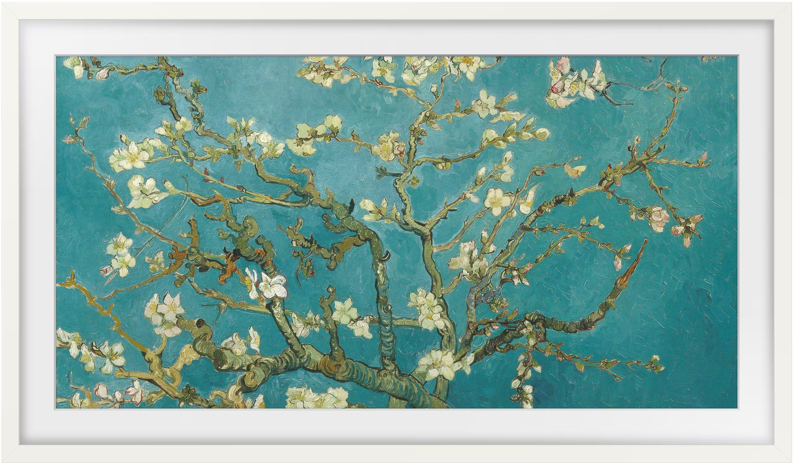 Van Goghs Gemälde eines blühenden Mandelbaums. Weiße Blüten, türkisfarbener Hintergrund, gerahmt.