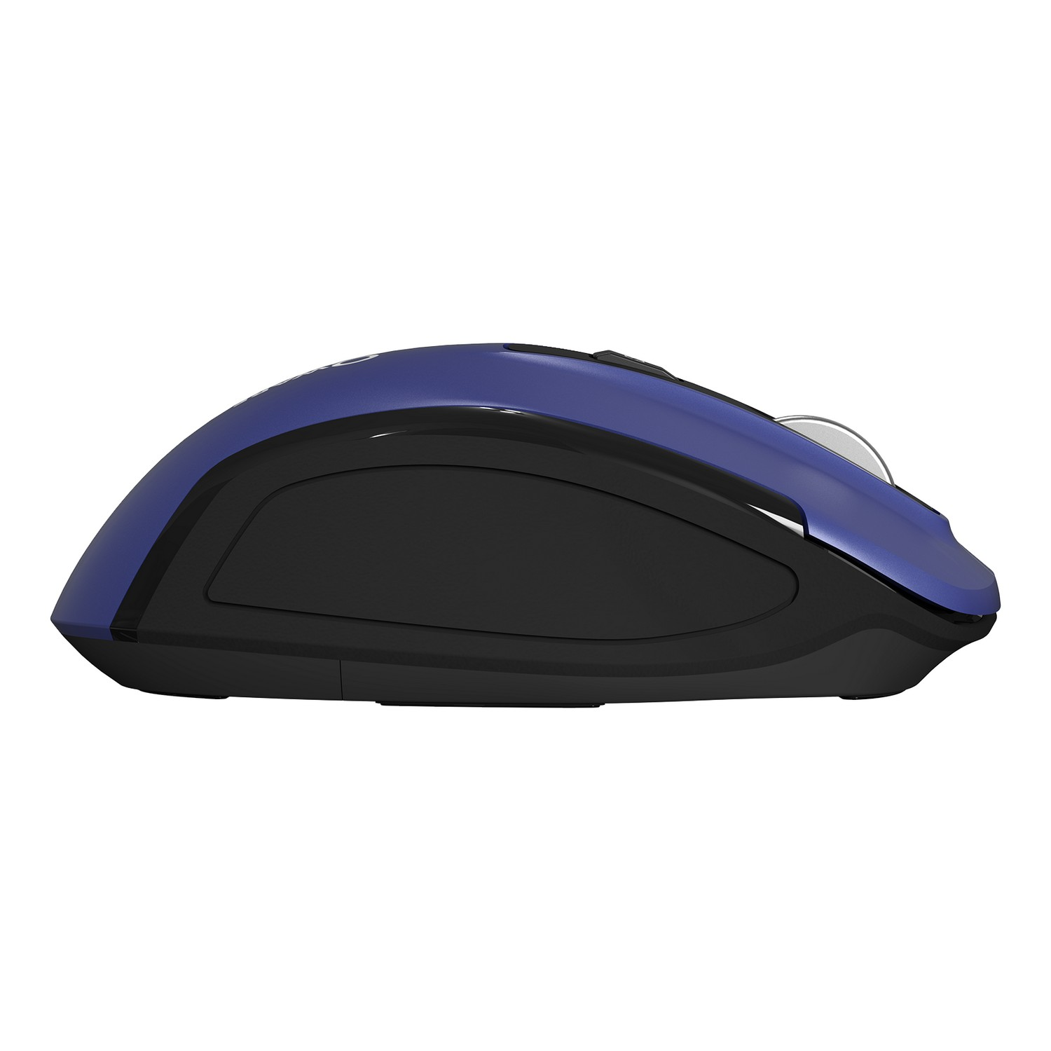 Blue and black mouse. The mouse is angled, showing the side profile.