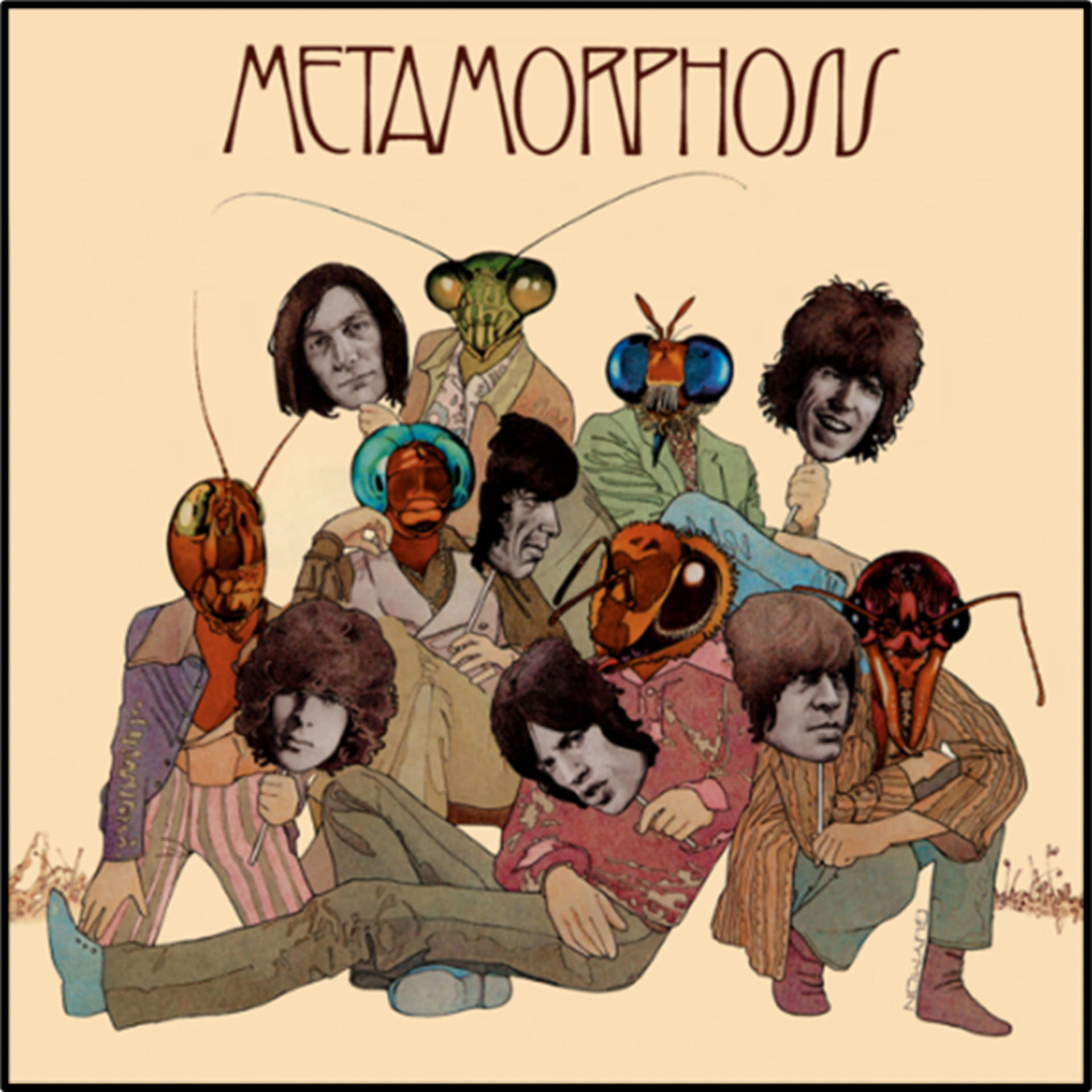 Rolling (Vinyl) The - - (Vinyl) Stones Metamorphosis