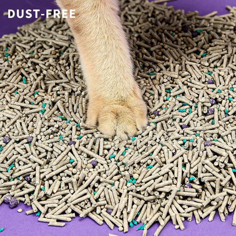 Zampa di gatto su lettiera. La lettiera è composta da pellet marroni con pezzi blu e viola. Sfondo viola.