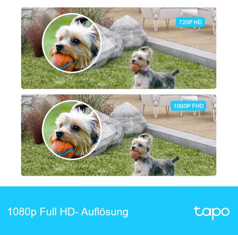 Zwei Bilder, die einen Hund mit einem Ball zeigen. Oben 720p, unten 1080p. Text unten zeigt Full HD-Auflösung an.