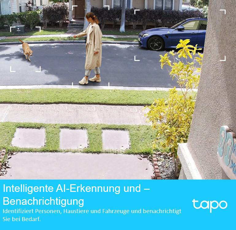 Eine Frau und ein Hund auf einer Straße, mit einem blauen Auto im Hintergrund, Werbung.