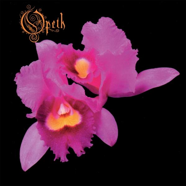 Album borító rózsaszín orchideákkal fekete háttéren.