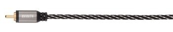 Kabel AVINITY RCA - RCA 1.5m + adapter 2 x RCA (wtyk) - RCA (gniazdo)