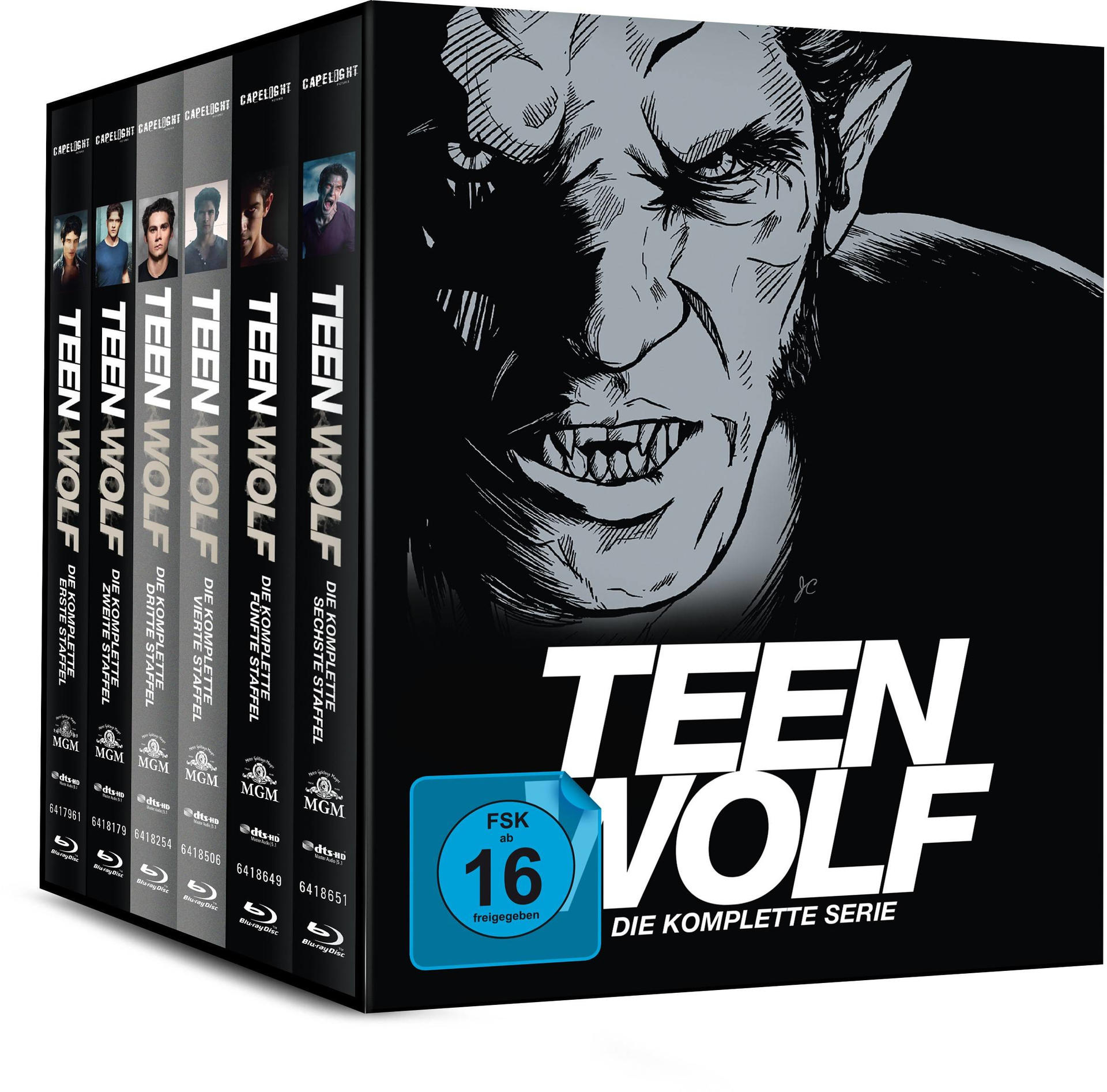 Ein Box-Set der Staffeln 1-6 von Teen Wolf, mit dem Gesicht der Hauptfigur auf dem Cover.