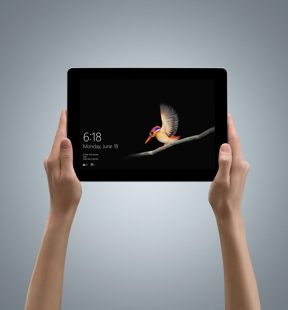 Dłonie trzymające tablet z ptakiem na gałęzi na ciemnym tle.