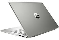 Laptop HP Pavilion 14-ce3001nw i5-1035G1/8GB/512GB SSD/INT/Win10H Srebrny
