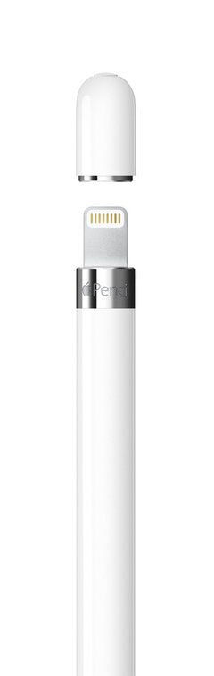 Biały Apple Pencil bez nasadki, pokazujący port ładowania.