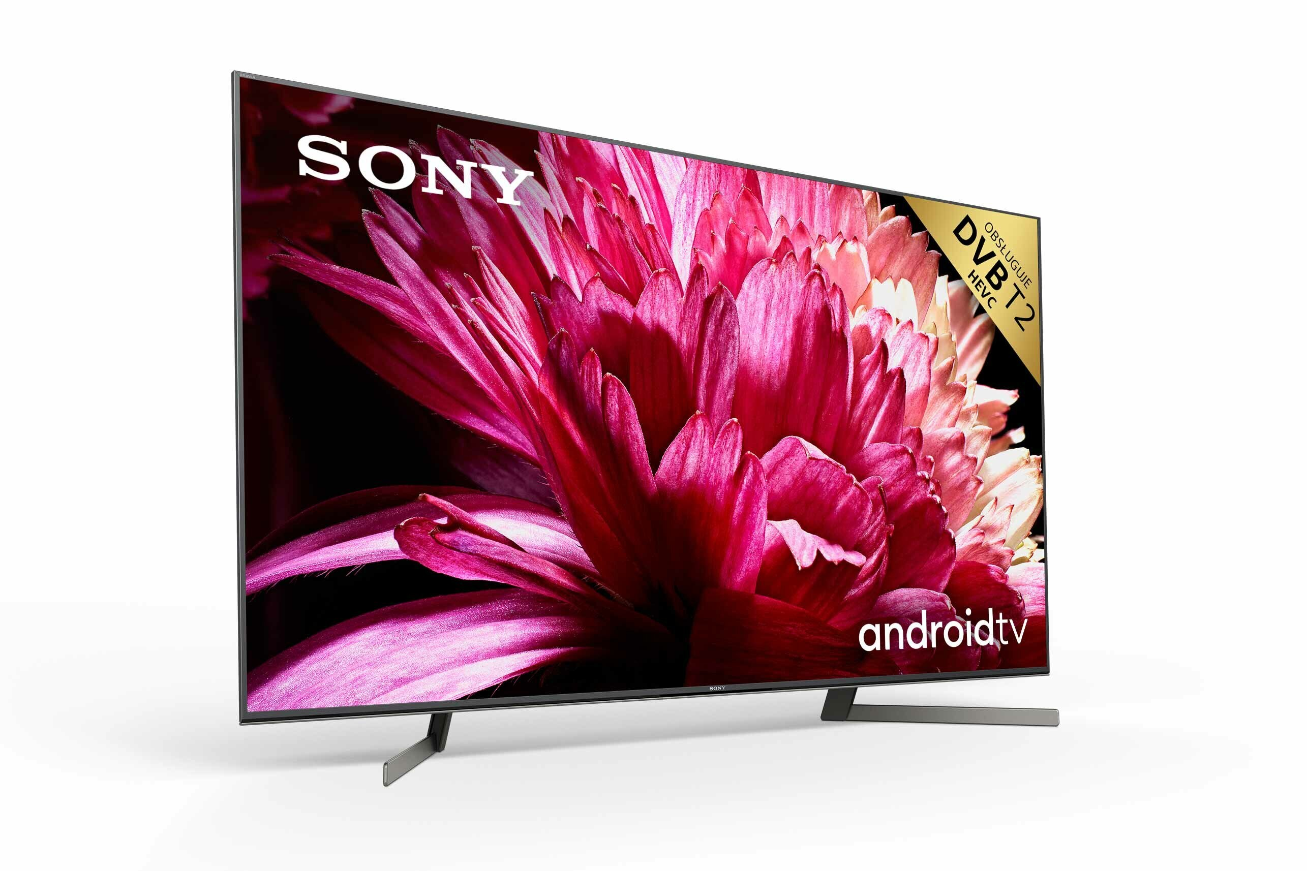 Telewizor SONY KD-55XG9505