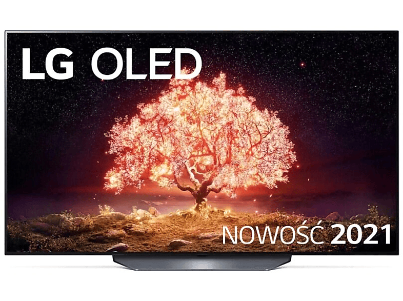 LG OLED55B13LA