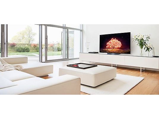 Telewizor LG OLED55B13LA