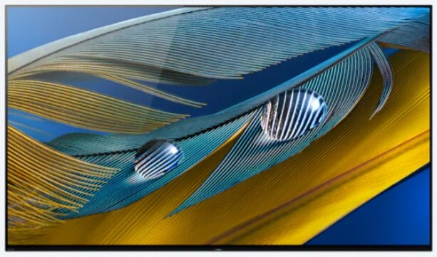 Ekran TV z abstrakcyjnym obrazem niebieskich i żółtych piór z kroplami wody.