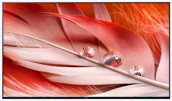 Telewizor SONY XR-55X92J