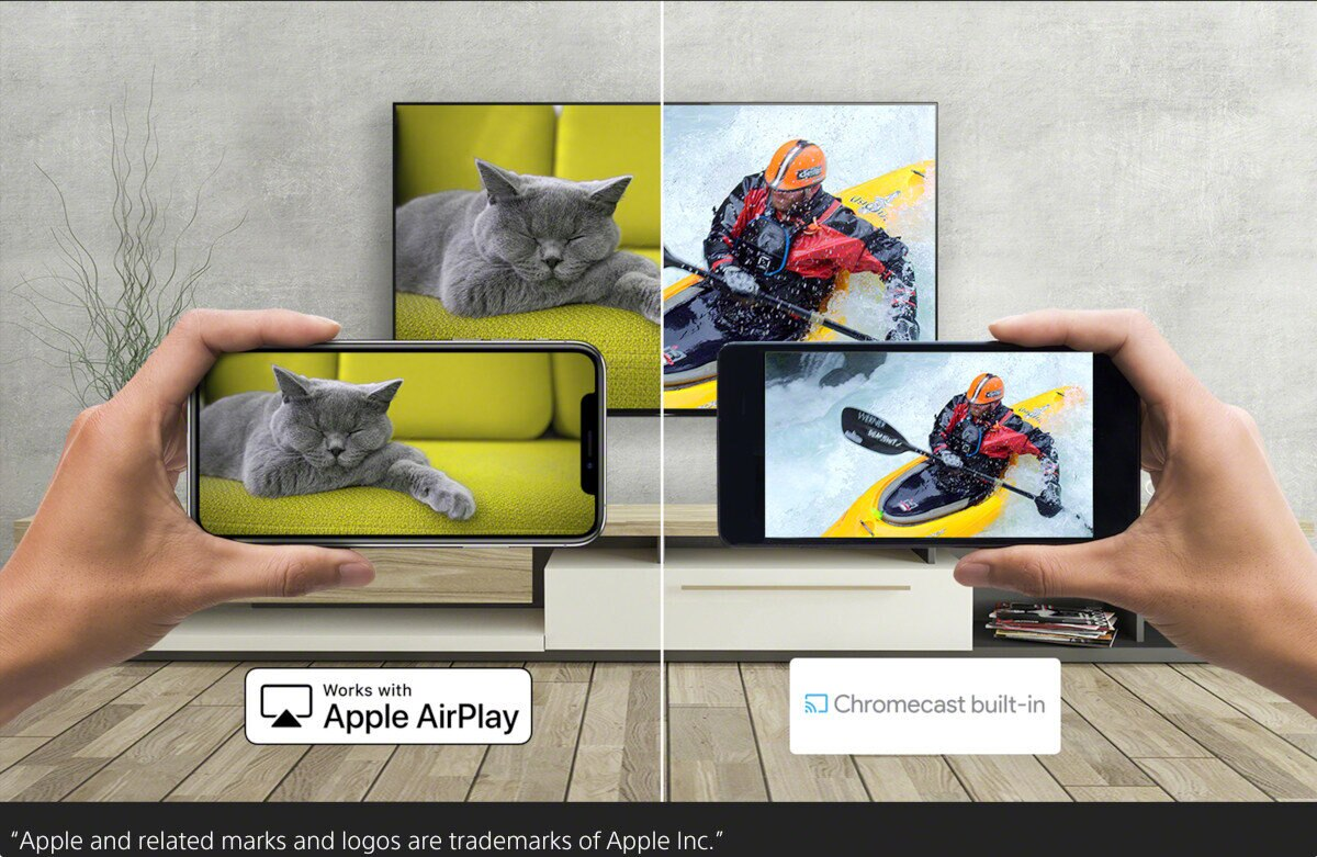 Dłonie trzymające telefony wyświetlające obrazy; kot na telewizorze i kajakarz na innym.