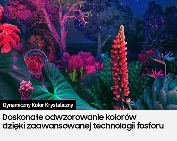 Ekran telewizora wyświetlający żywe kolory ogrodu z kwiatami i roślinami w nocy.