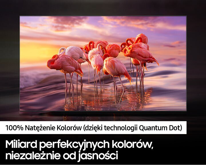 Telewizor wyświetlający flamingi. Tekst: 100% natężenie kolorów, miliardy kolorów niezależnie od jasności.