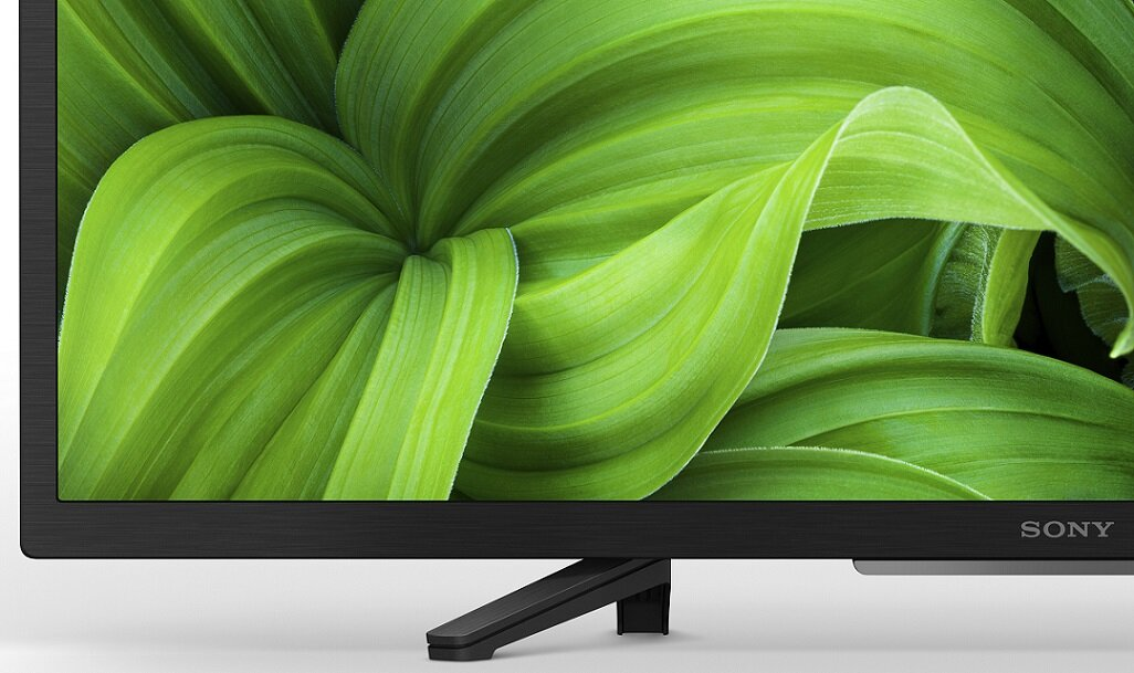 Zbliżenie ekranu telewizora Sony z zielonymi liśćmi.