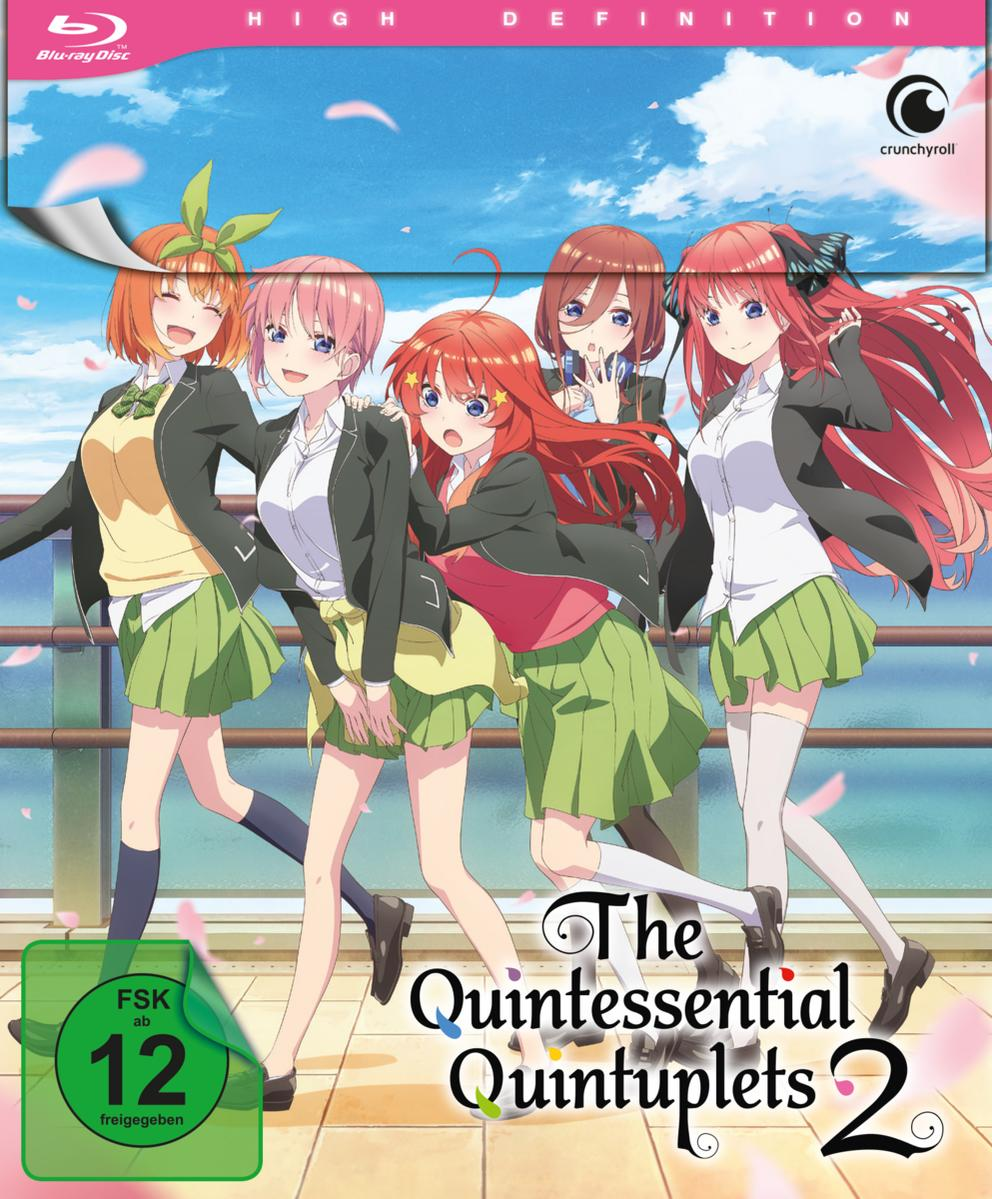 Anime-DVD-Cover: Fünf Mädchen posieren zusammen in Schuluniformen. Blauer Himmel im Hintergrund.