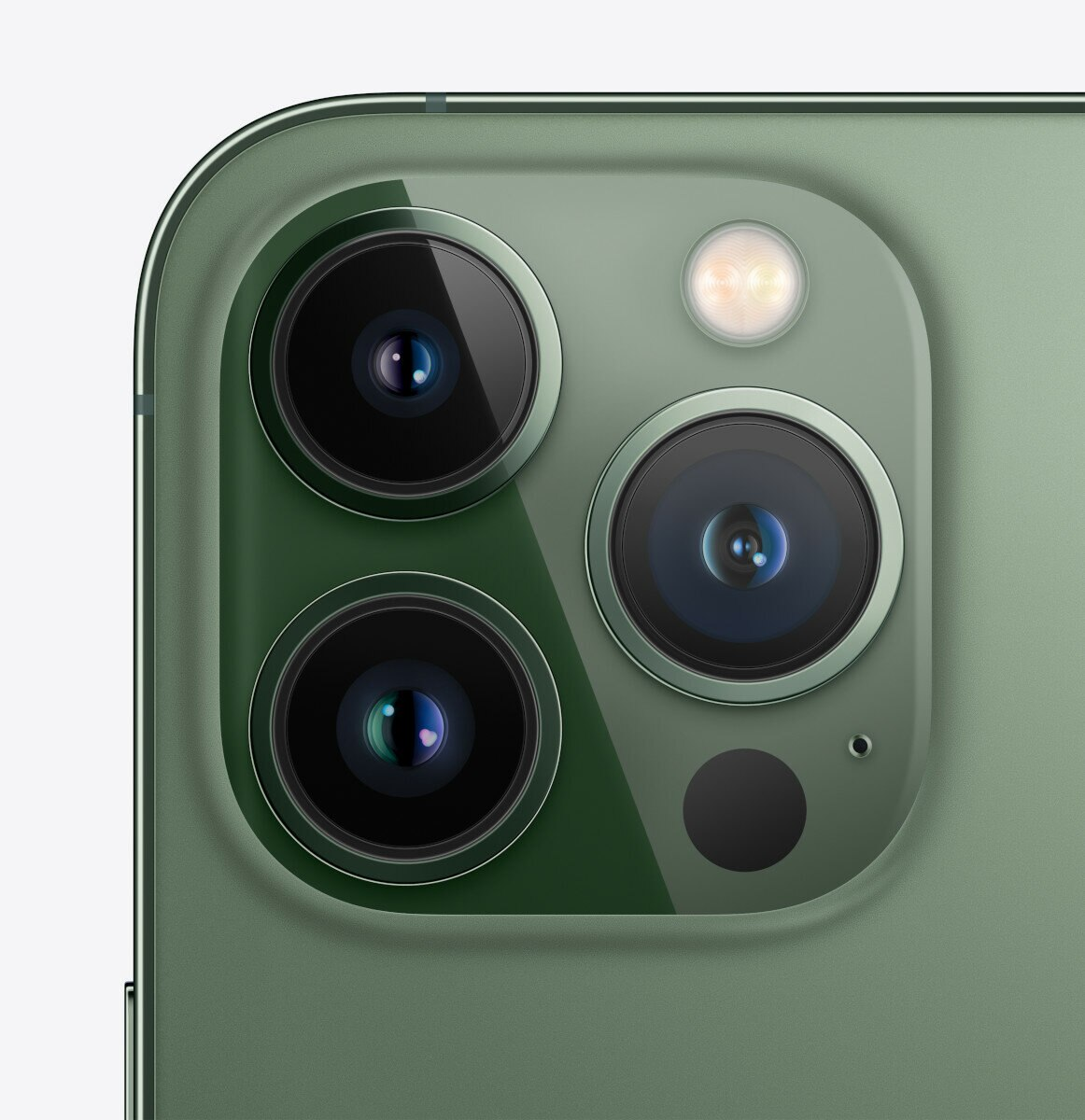 Smartfon APPLE iPhone 13 Pro 1TB Alpejska zieleń MNE53PM/A