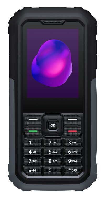 Telefon komórkowy TCL 3189 Szary